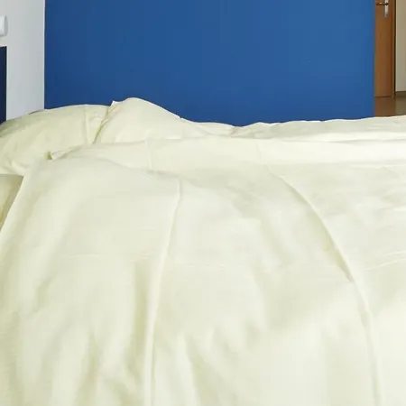 旅馆 博福特青年旅社 *